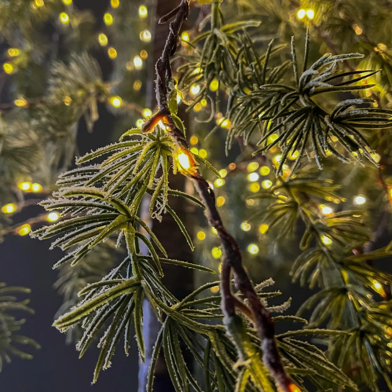 Arbre Lumineux|Arbre Lumineux|EMINZA Arbre lumineux 600 LED (H180 cm) Bouleau enneigé Blanc chaud