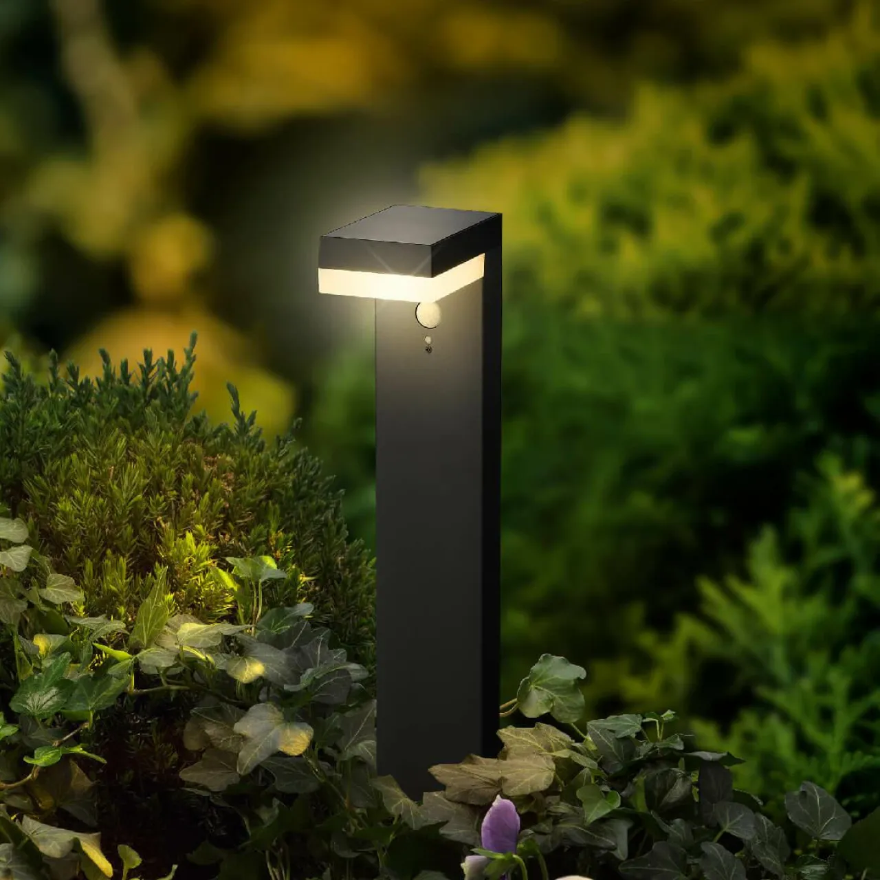 Luminaire Jardin|Eclairage Extérieur|#N/A Borne de jardin solaire 600 lumens (H50 cm) Elite Gris Anthracite