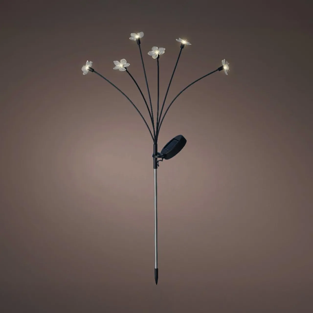 Luminaire Jardin|Eclairage Extérieur|KAEMINGK Décoration lumineuse Solaire à piquer au sol (H70 cm) Flowers Blanc chaud