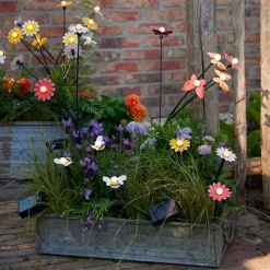 Luminaire Jardin|Eclairage Extérieur|KAEMINGK Décoration lumineuse Solaire à piquer au sol (H60 cm) Marguerites et blanc chaud Jaune