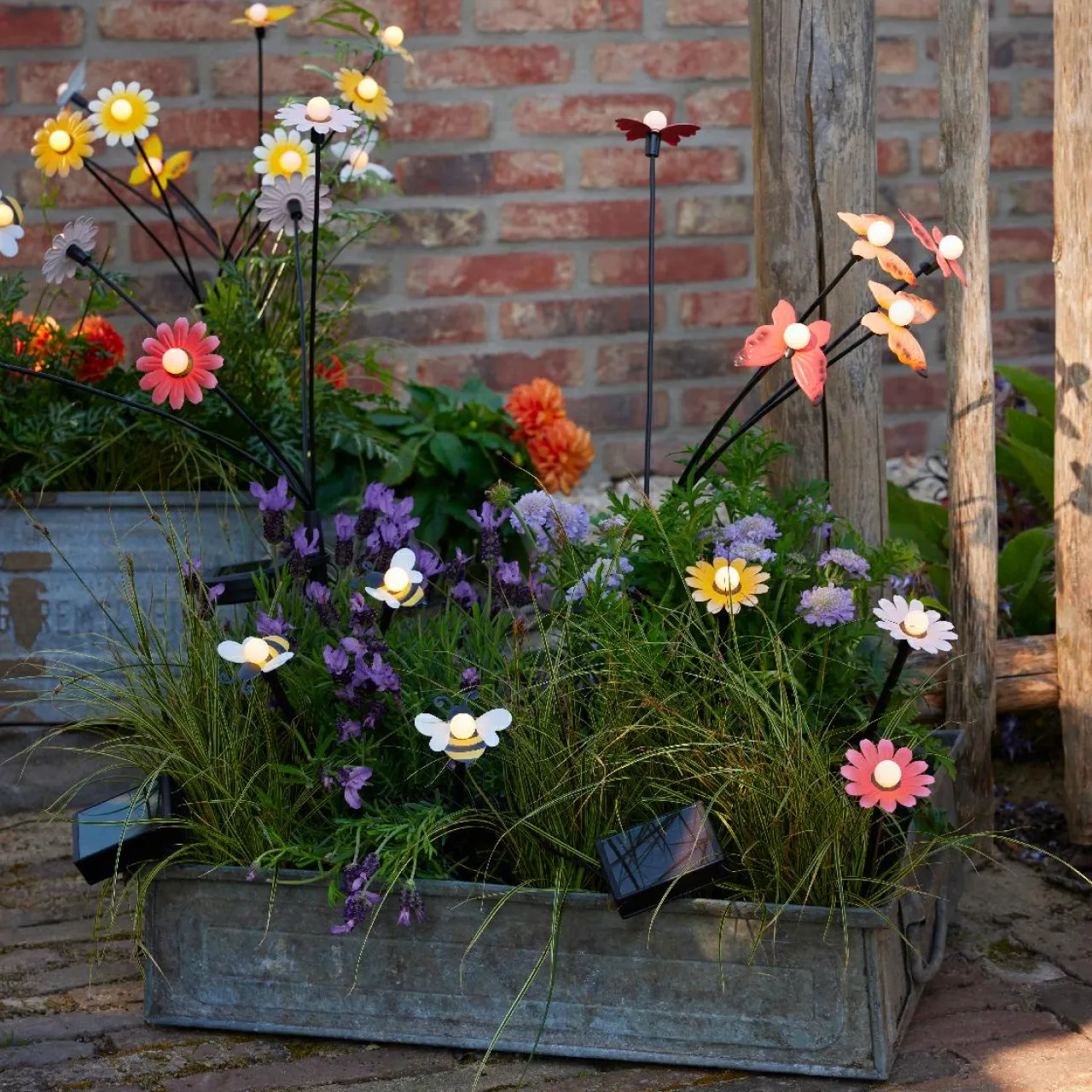 Luminaire Jardin|Eclairage Extérieur|KAEMINGK Décoration lumineuse Solaire à piquer au sol (H60 cm) Marguerites et blanc chaud Rouge