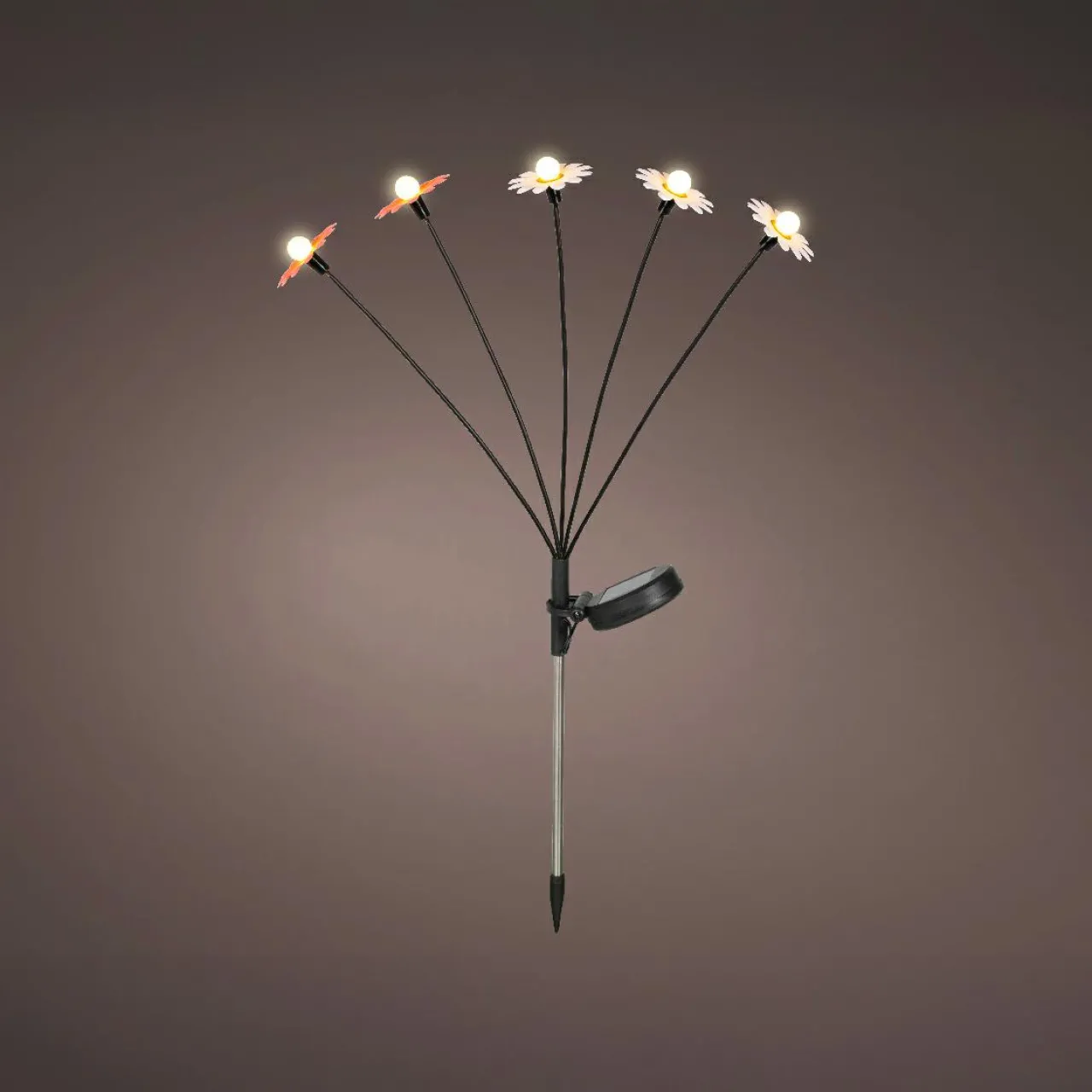 Luminaire Jardin|Eclairage Extérieur|KAEMINGK Décoration lumineuse Solaire à piquer au sol (H60 cm) Marguerites et blanc chaud Rouge