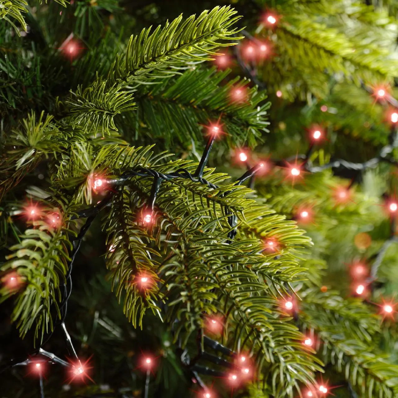 Guirlande Lumineuse|KAEMINGK Guirlande lumineuse 16 m 750 LED câble vert Luxe Rouge Rouge - câble vert