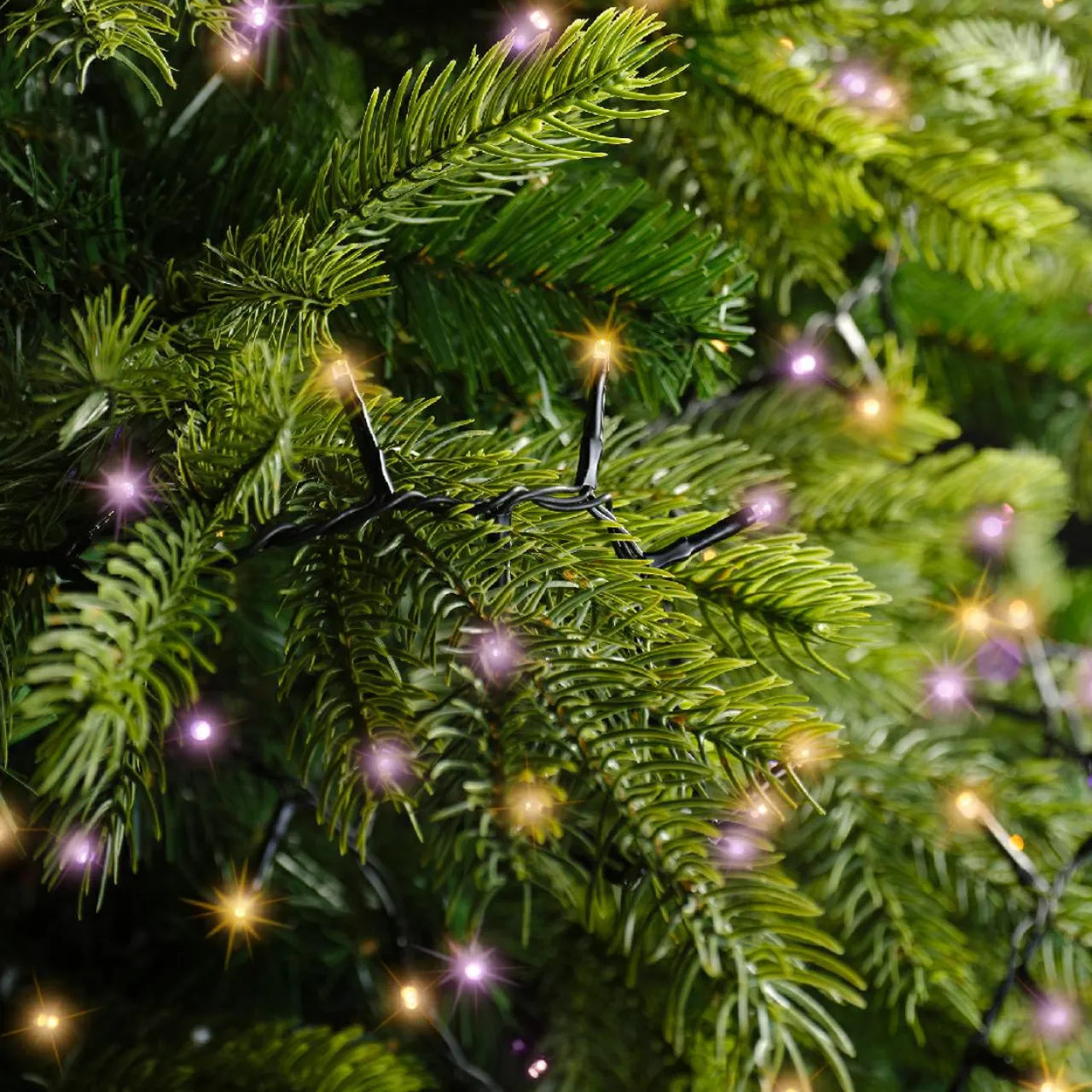 Guirlande Lumineuse|KAEMINGK Guirlande lumineuse 16 m 750 LED câble noir Luxe Bicolore Orange et violet Bicolore Orange / Violet - câble noir