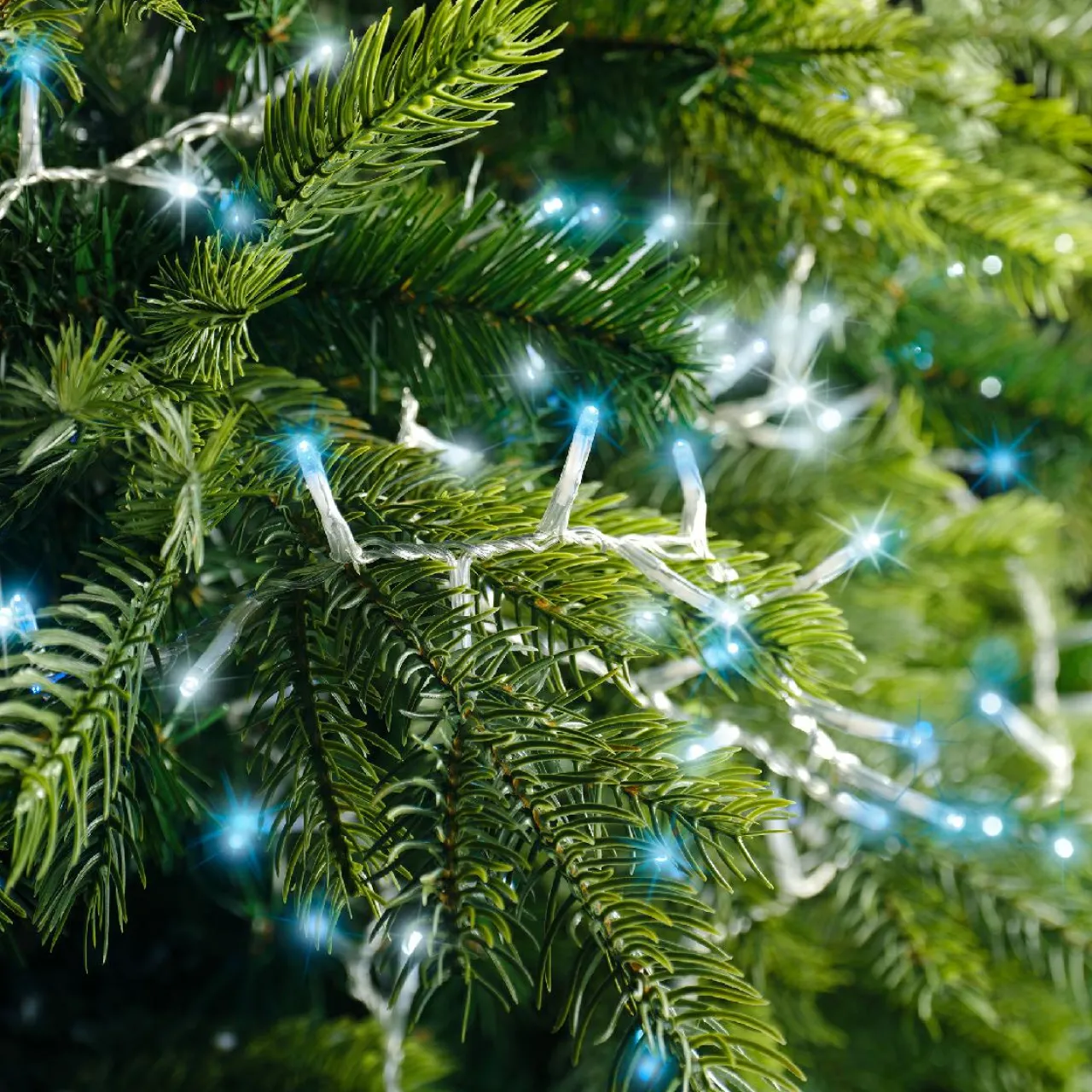 Guirlande Lumineuse|KAEMINGK Guirlande lumineuse 16 m 750 LED câble transparent Luxe Bicolore Blanc et bleu Bicolore Bleu / Blanc froid - câble transparent