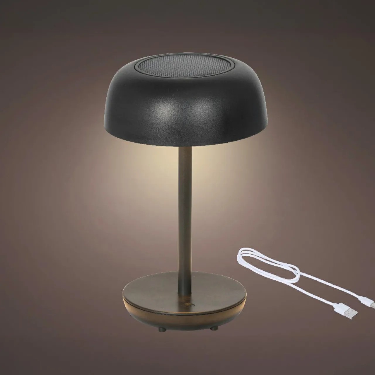 Luminaire Jardin|Eclairage Extérieur|KAEMINGK Lampe de table solaire 100 lumens (H29 cm) Singapour Noir