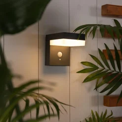 Luminaire Jardin|Eclairage Extérieur|KAEMINGK Lampe murale solaire 600 lumens (H12,5 cm) Elite Gris Anthracite