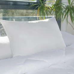 Couette, Oreiller, Traversin|EMINZA Lot de 2 oreillers rectangulaires (45 x 70 cm) Moelleux Anti-acariens Blanc