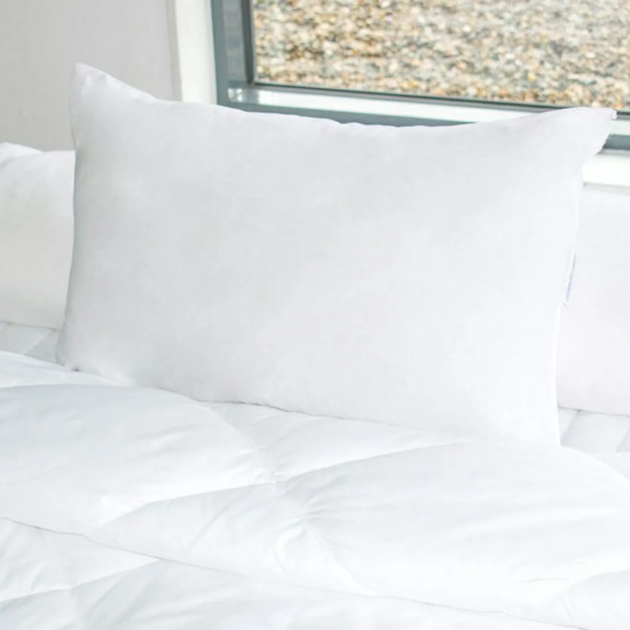 Couette, Oreiller, Traversin|BLEU CALIN Oreiller rectangulaire ferme (50 x 70 cm) Alaska Blanc