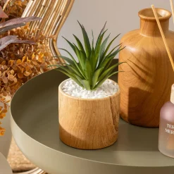 Plante Artificielle|Atmosphera, cru017dateur d'intu017drieur Plante artificielle avec pot (H17 cm) Sao plante grasse Vert