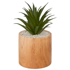 Plante Artificielle|Atmosphera, cru017dateur d'intu017drieur Plante artificielle avec pot (H17 cm) Sao plante grasse Vert