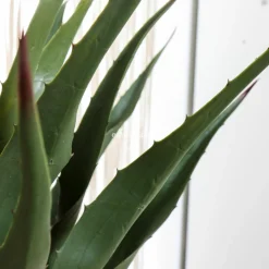 Plante Artificielle|ATMOSPHERA Plante artificielle (H73 cm) Palmier en pot Vert