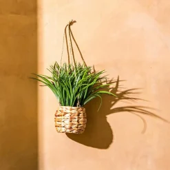 Plante Artificielle|Atmosphera, cru017dateur d'intu017drieur Plante artificielle suspendue dans pot tressé (H27 cm) Moda Costa Vert