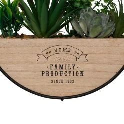 Plante Artificielle|Atmosphera, cru017dateur d'intu017drieur Plantes artificielles dans support en bois à suspendre (D20 cm) Family production Vert
