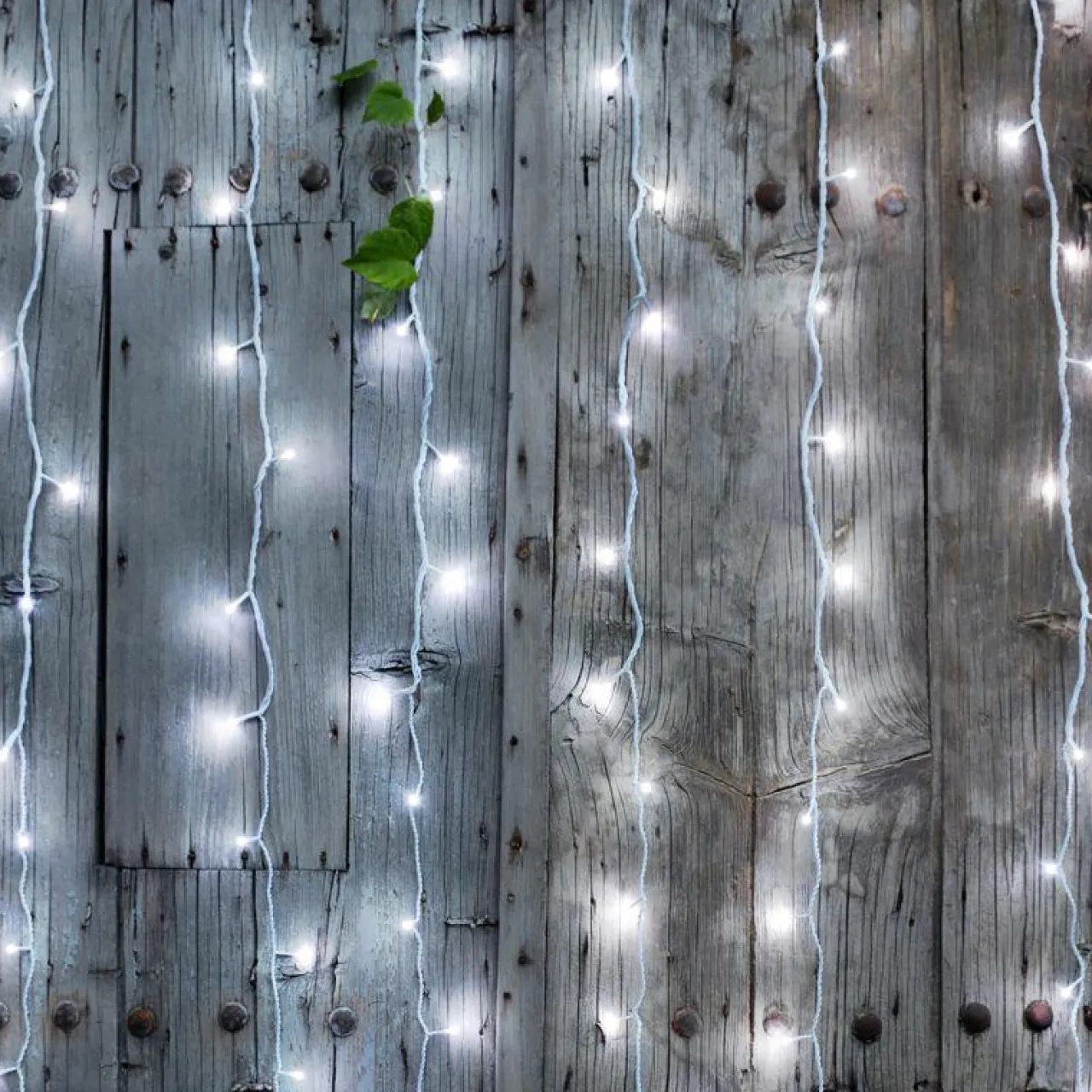 Guirlande Lumineuse Grand Format|Guirlande Lumineuse|BLACHERE Rideau lumineux H2 m L2 m 96 LED Interconnectable Blanc froid