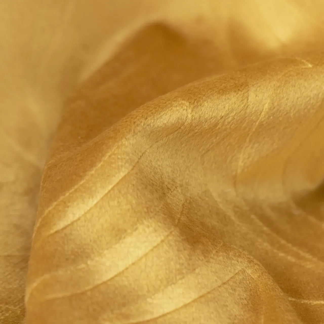 Rideau|EMINZA Rideau obscurcissant velours (180 x 260 cm) Fern Jaune ocre