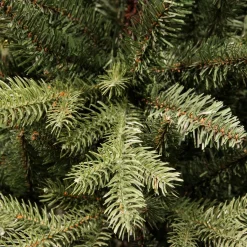 Sapin Grande Taille|Sapin Artificiel De Noël|EMINZA Sapin artificiel de Noël (H300 cm) Allix Vert sapin Sapin vert