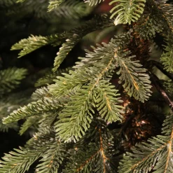 Sapin Grande Taille|Sapin Artificiel De Noël|EMINZA Sapin artificiel de Noël (H300 cm) Sierra Vert sapin Sapin vert