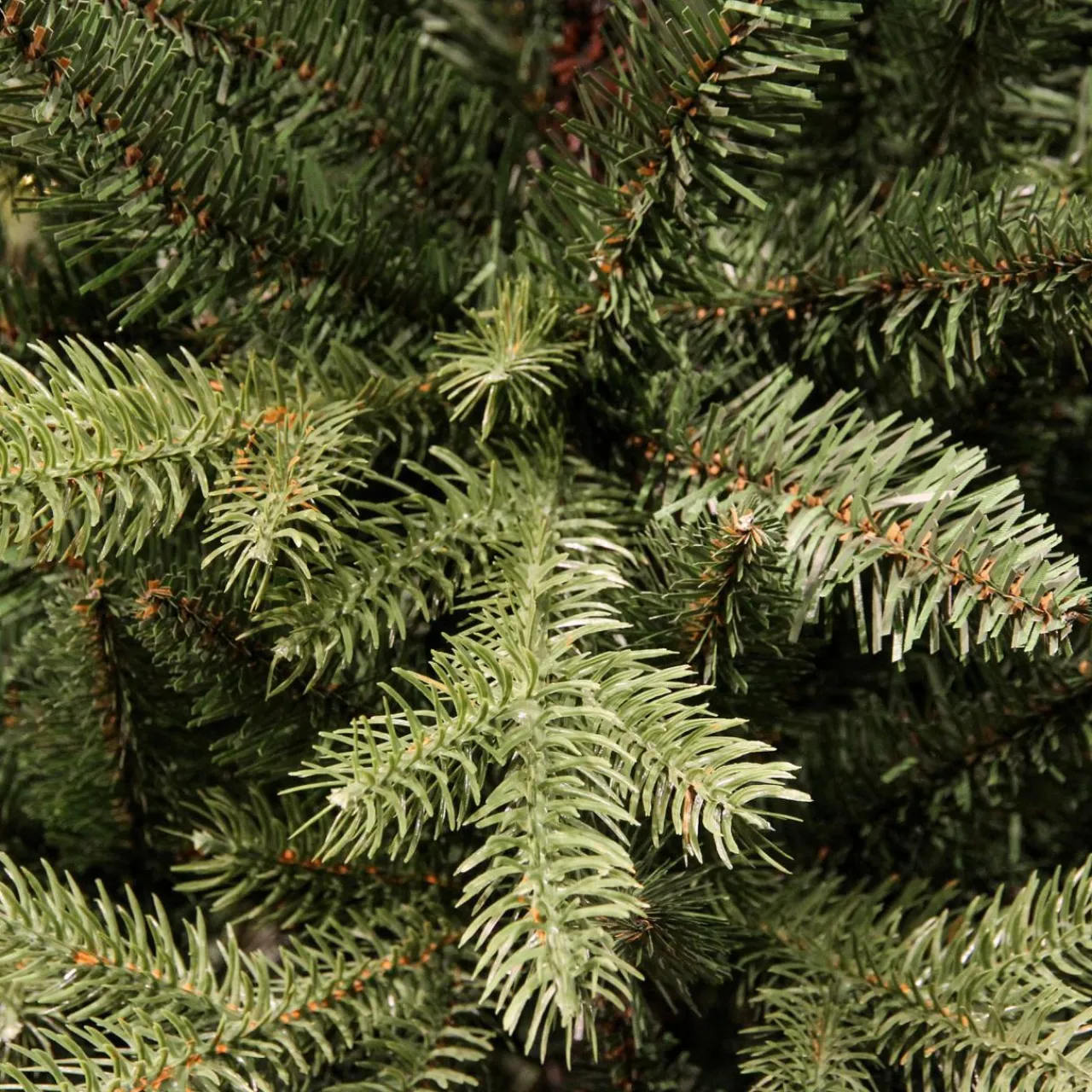 Sapin Grande Taille|Sapin Artificiel De Noël|EMINZA Sapin artificiel de Noël (H210 cm) Allix Vert sapin Sapin vert