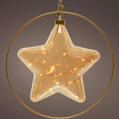 Déco Et Objet De Noël|Déco Et Objet Lumineux|KAEMINGK Suspension lumineuse à piles 15 LED (D26 cm) Étoile d’Hiver /blanc chaud Ambre